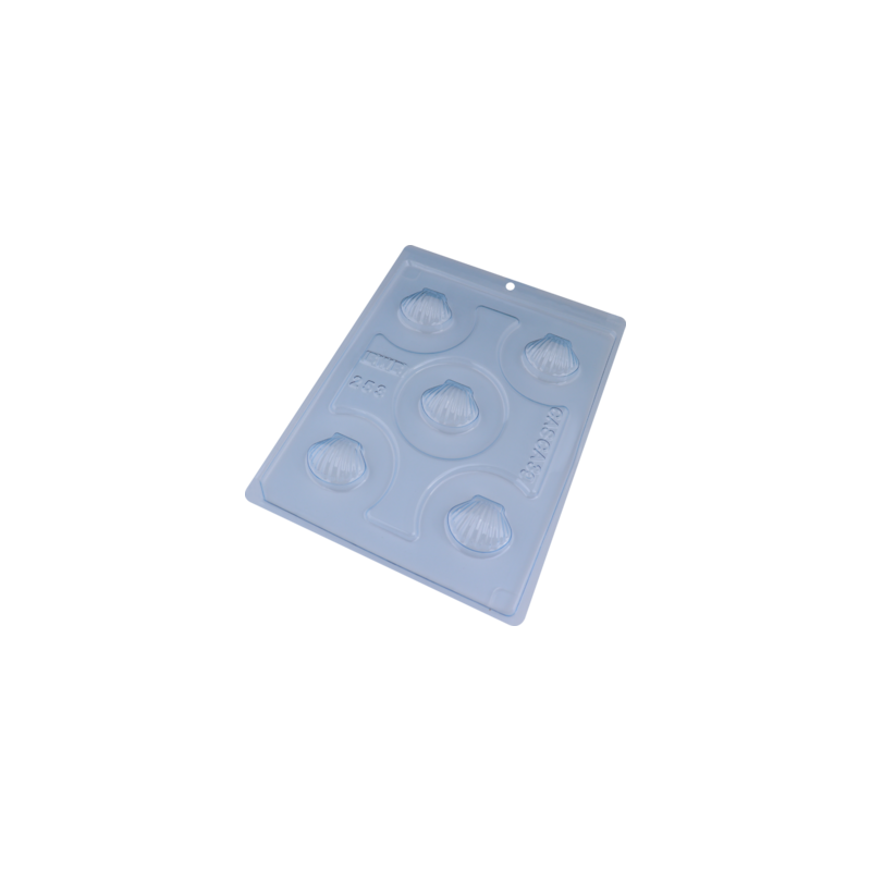 Forma Especial Trad Concha Shell