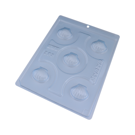 Forma Especial Trad Concha Shell