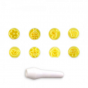 Blue Star - Kit Carimbos Jardim Encantado